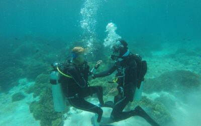 DOLEGLIWOŚCI LATEM- BÓL UCHA