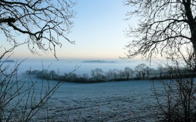 PRZEZIĘBIENIA I SEZON GRYPOWY JUŻ TU – CZY JESTEŚ PRZYGOTOWANA/Y?